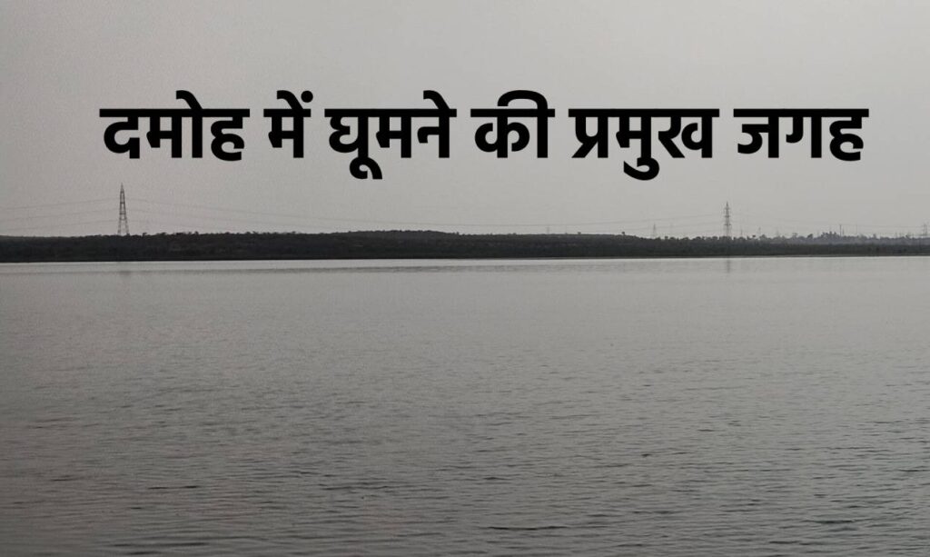 Damoh Tourist Places in Hindi