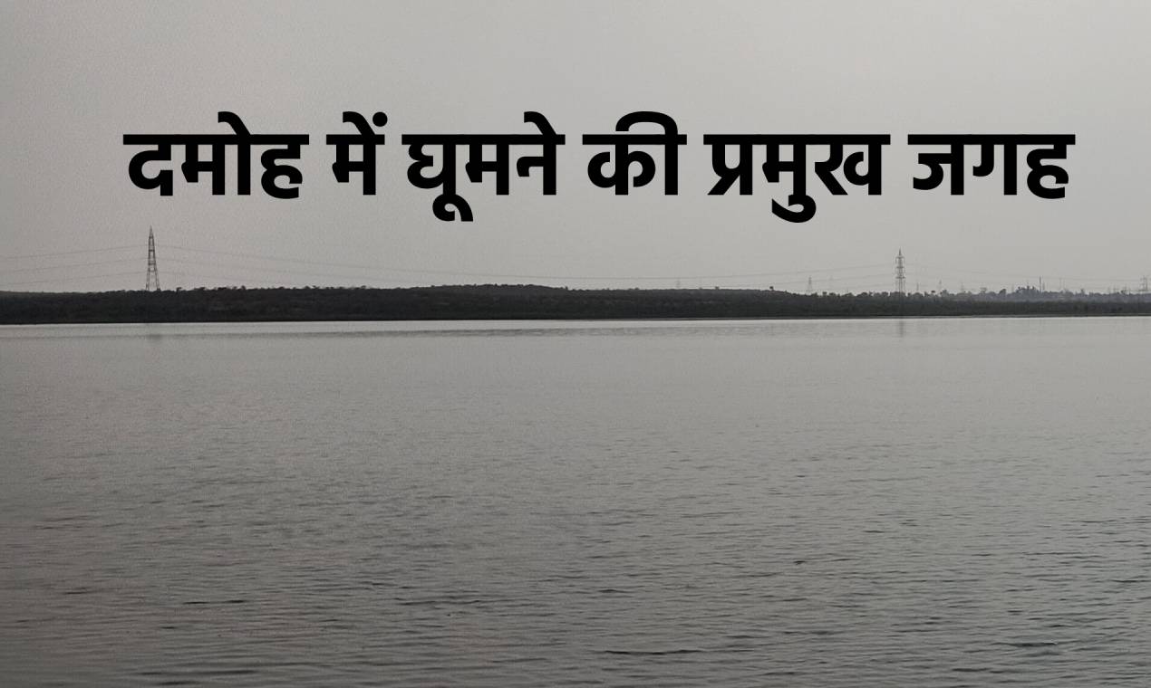  Damoh Tourist Places in Hindi