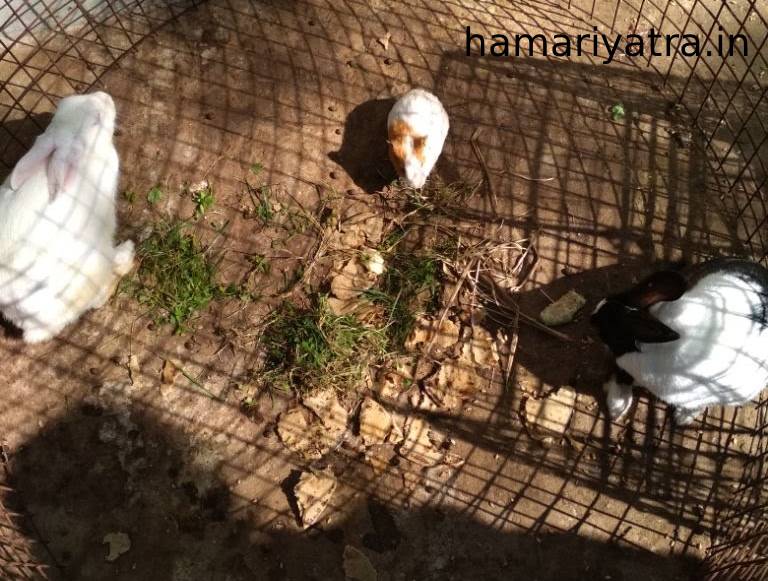 Pachmarhi me Ghumne ki Jagah