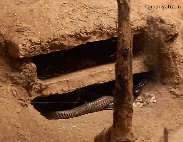 Van Vihar National Park