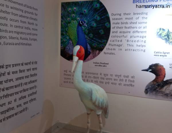 Van Vihar National Park