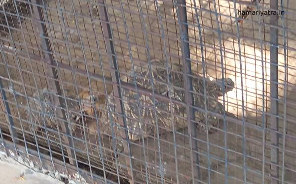 Van Vihar National Park