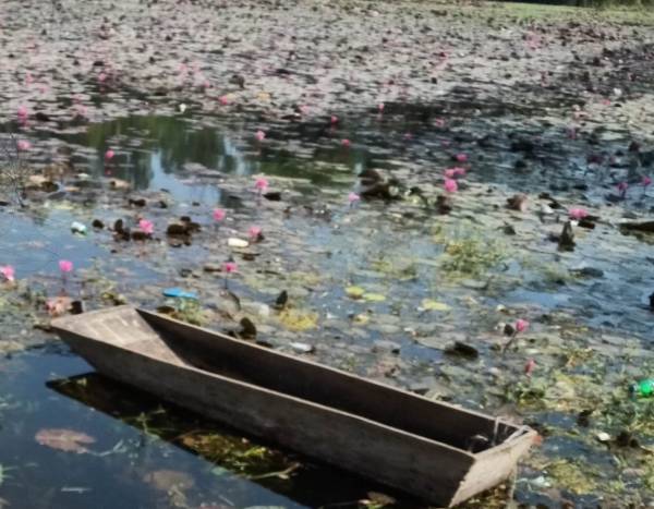 Gulawat Lotus Valley Indore